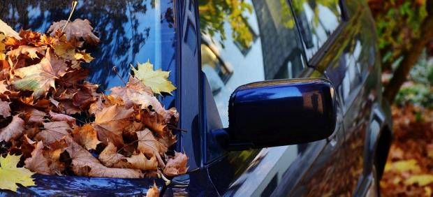 Siete claves para que tu coche afronte el otoño