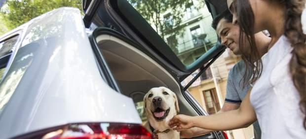 Cinco consejos para viajar con perros en el coche (y sin peligro)